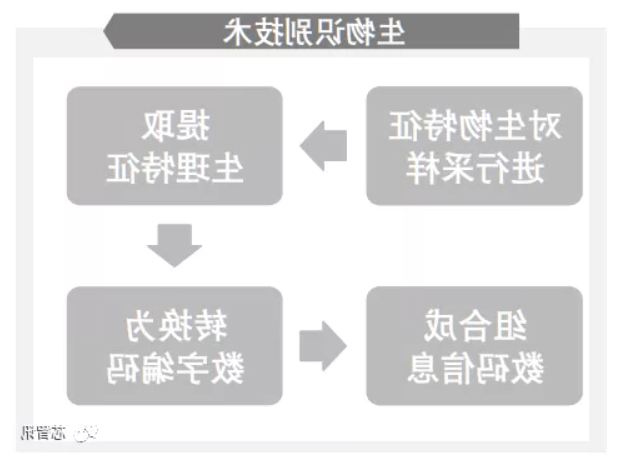 滤光片