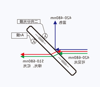 滤光片