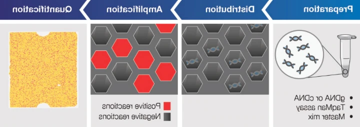 数字PCR技术原理 数字PCR技术原理