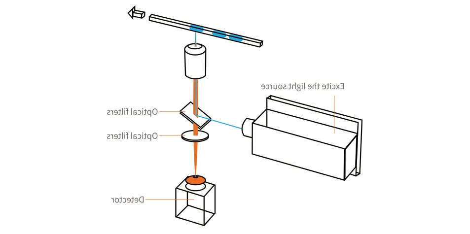 数字PCR光路图 数字PCR光路图