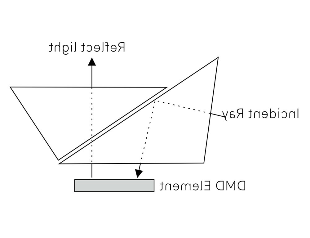 895.jpg