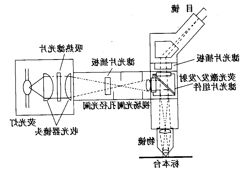 荧光显微镜原理图，激发滤板和压制滤色系统