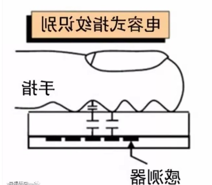 电容式指纹识别