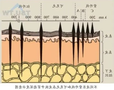 激光美容波长对皮肤损伤最小