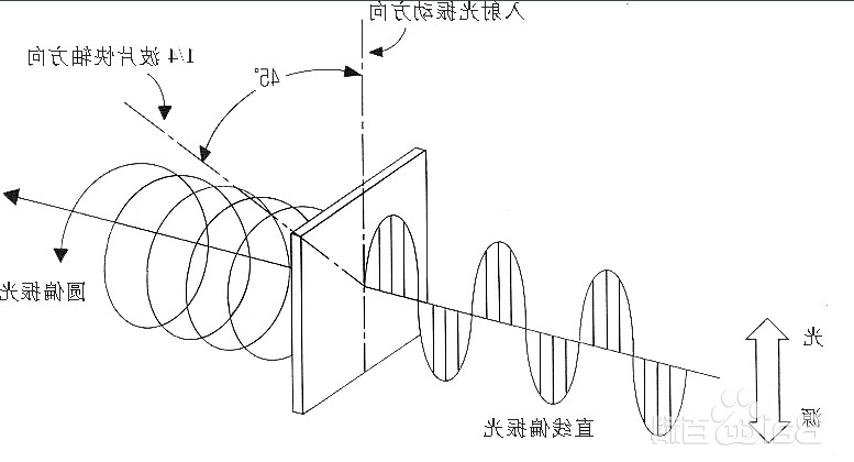 圆偏振和线偏振的区别 圆偏振和线偏振的区别