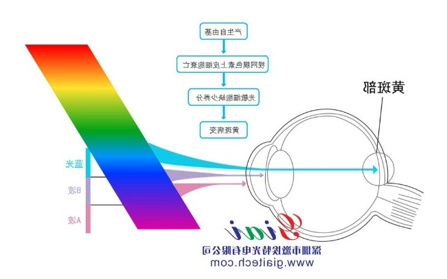 为什么蓝光对人体健康有危害