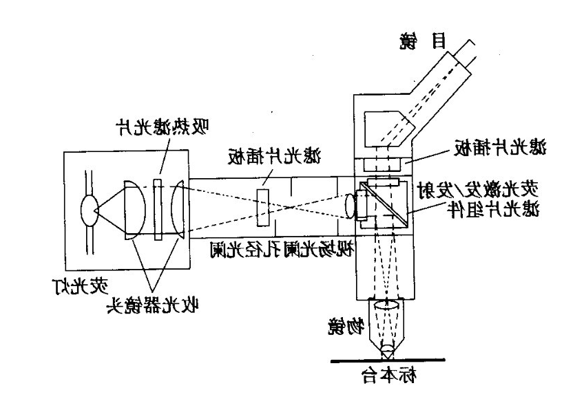 荧光显微镜光学原理