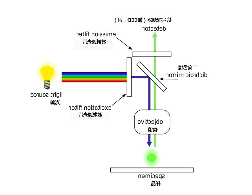 荧光显微镜原理