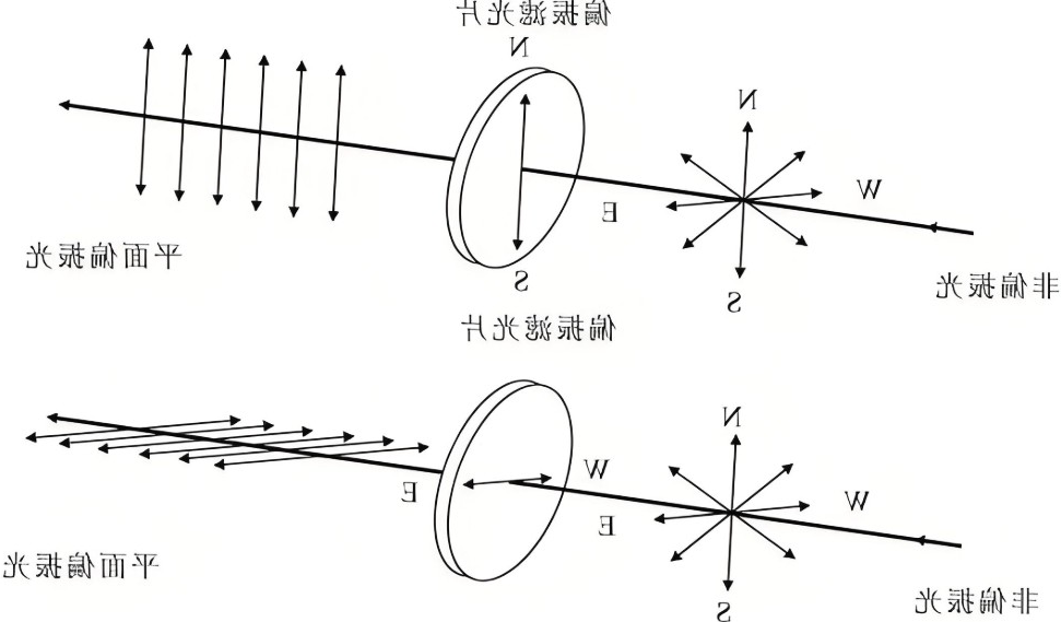 光的魔术师：偏光镜如何塑造人类的光学世界