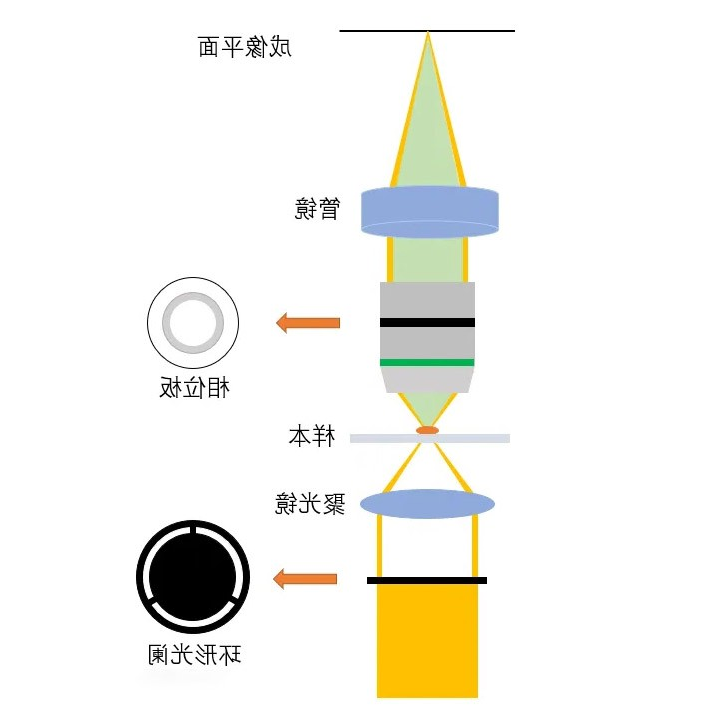 光学系统与工作原理