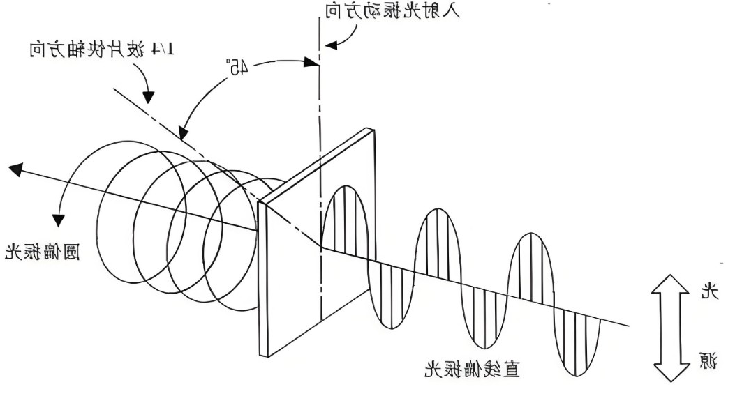 光的偏振