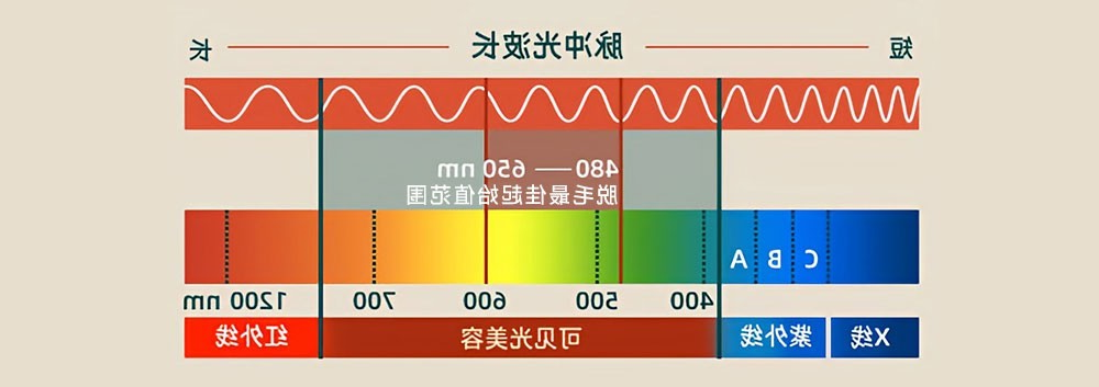 光子脱毛的波段图
