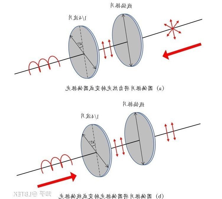 线偏振光和圆偏振光