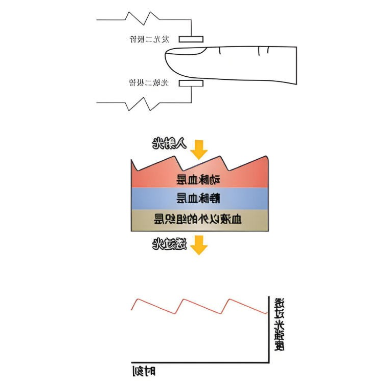 脉搏血氧仪简介与光学原理<
