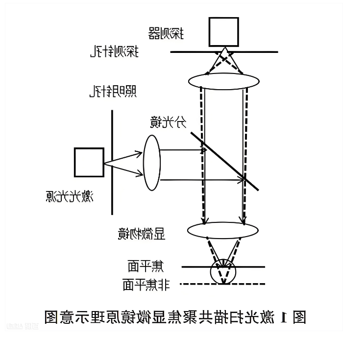 激光扫描共聚焦显微镜原理示意图