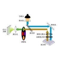 什么是荧光定量PCR、数字PCR？