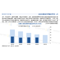 分析全球及中国2024-2030光学行业及十五五规划