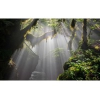 光的干涉、衍射、折射、反射、散射