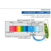 紫外线灯杀菌原理