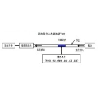 光纤传感技术：崔洪亮和他的&ldquo;中国梦&rdquo;