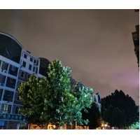 偏色问题和白平衡的设置