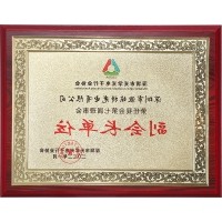 深圳光学光电子行业协会副会长单位