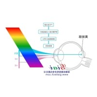 为什么蓝光对人体健康有危害