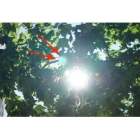 一文带你了解镜头眩光以及如何避免